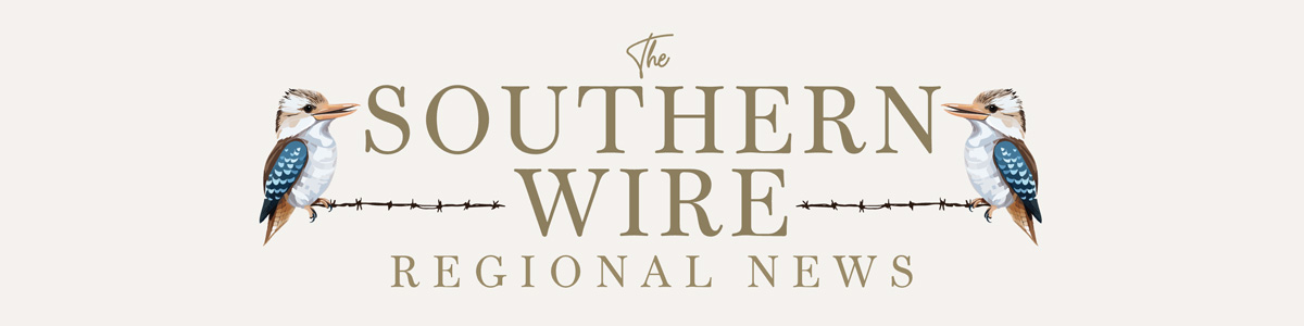 The Southern Wire logo